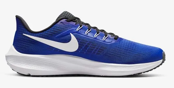 Nike Men's Pegasus 39 400
