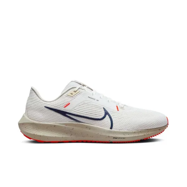 Nike Men's Pegasus 40 100